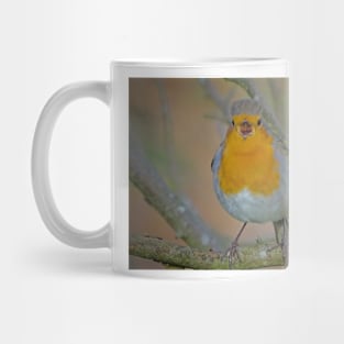 ROBIN GOCH! Mug